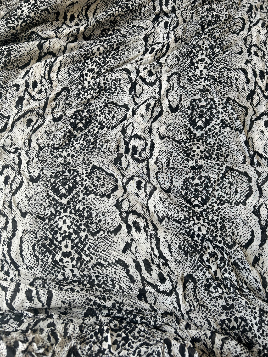 Georgette Cavalli Print